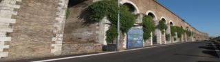 Banner Mandrione